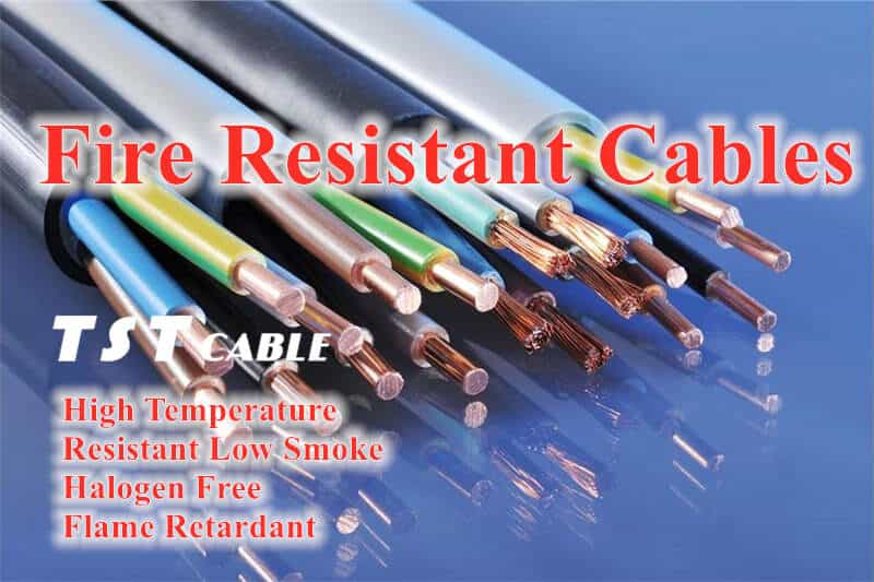 High-quality new special cable models and features