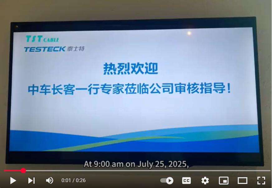 Warmly welcome the experts and leaders of CRRC to visit TST cable company for audit guidance