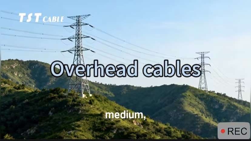 Three Reasons Why High-End Industrial Parks Choose Overhead Cables for Cable Upgrades